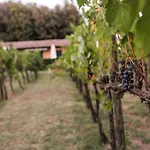 & 4* Cortona