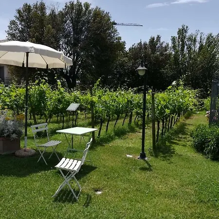 & Cortona